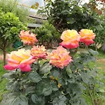 בית נופש Vivienda Vacacional Las Vinas *