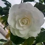 Vivienda Vacacional Las Vinas *