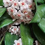 Vivienda Vacacional Las Vinas * אוביידו