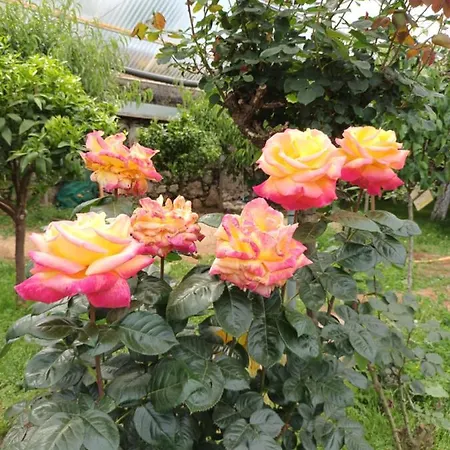 Σπίτι διακοπών Vivienda Vacacional Las Vinas *