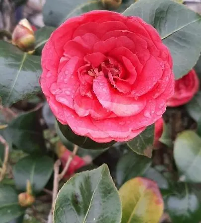 Σπίτι διακοπών Vivienda Vacacional Las Vinas *