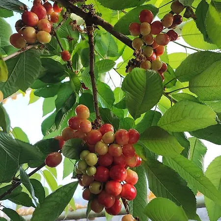 Vivienda Vacacional Las Vinas Οβιέδο